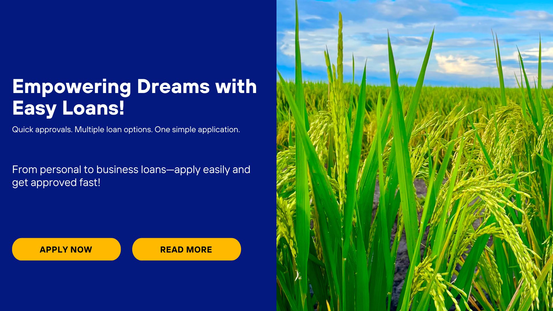 Website Launch Presentation With Mockups